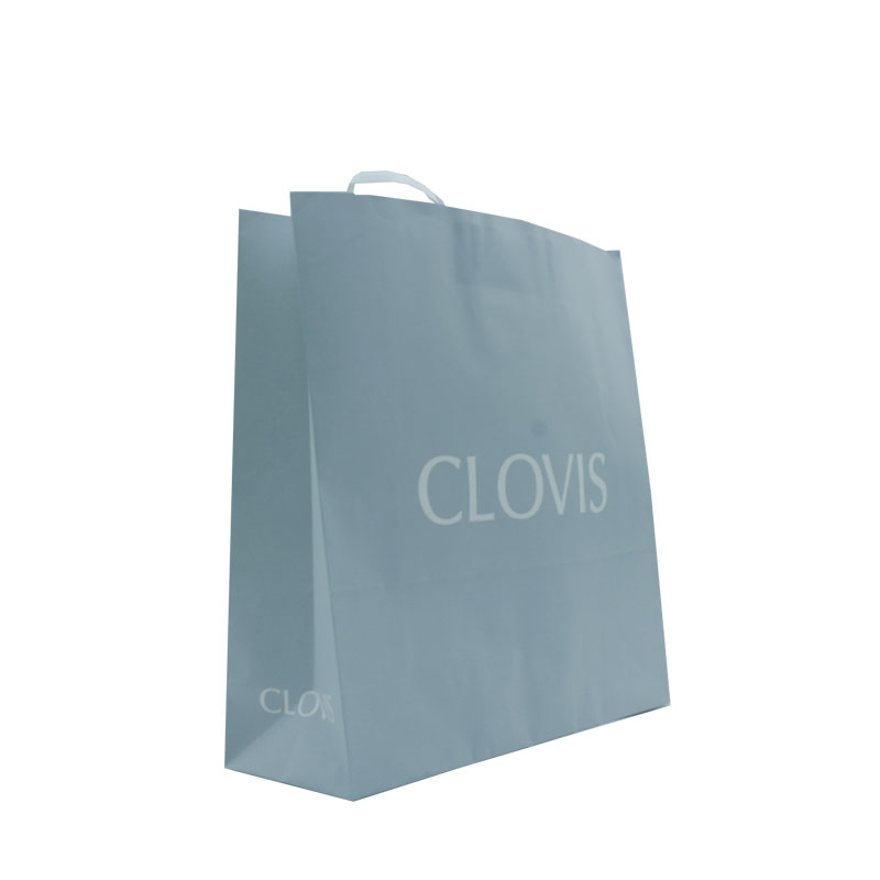 CLOVIS(대)
