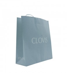 CLOVIS(대)